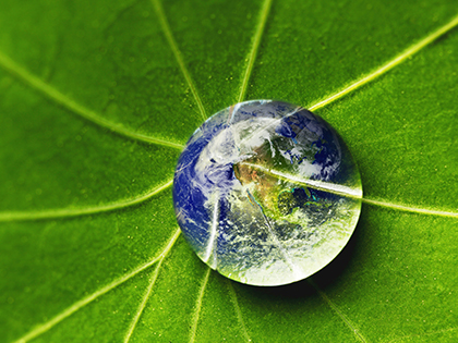 World Environment Day