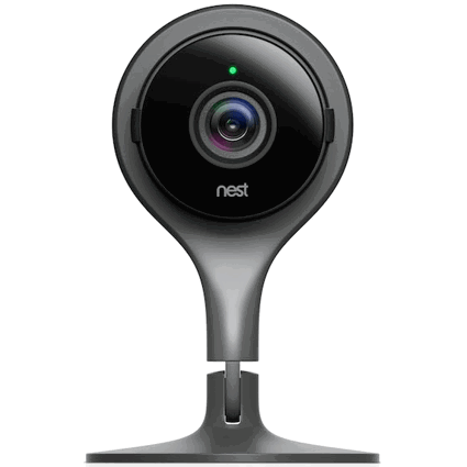 nest cam