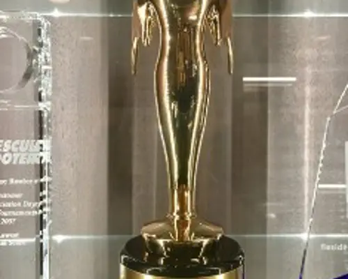 telly award