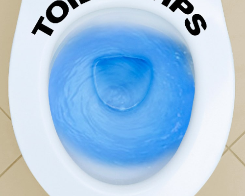 toilet tips