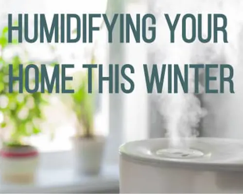 What is the Ideal House Humidity in Winter?