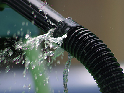 plumbing leaks