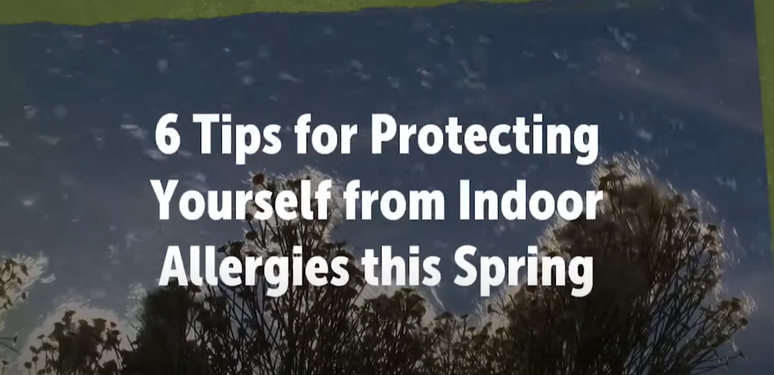 VIDEO: 6 Tips for Protecting Yourself from Indoor Allergies this Spring